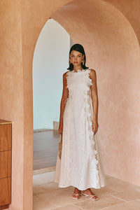 Isla Embroidered Eyelet and Sculpted Lace-Trim Maxi Dress